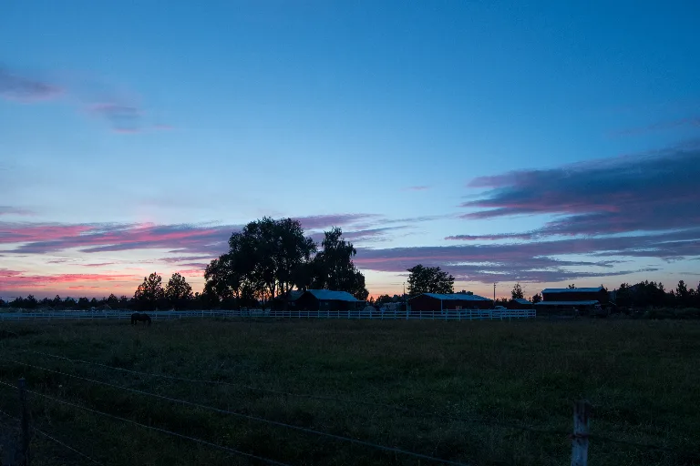 20170820-DSC_9245