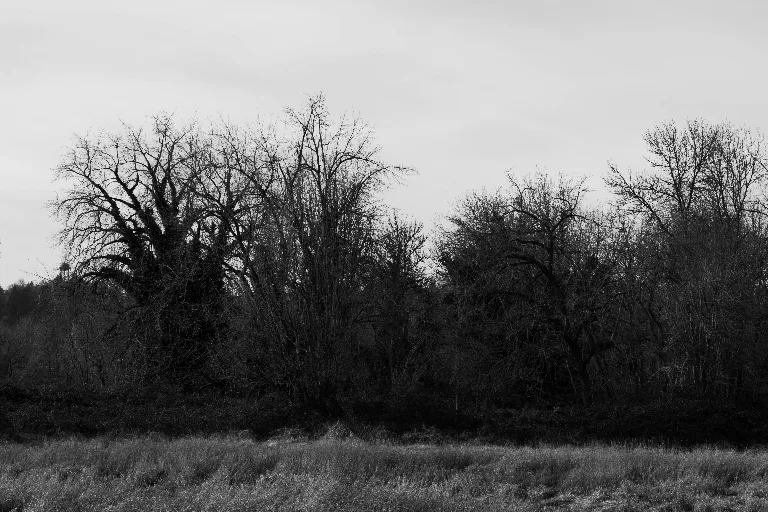 20180210-DSC_4799
