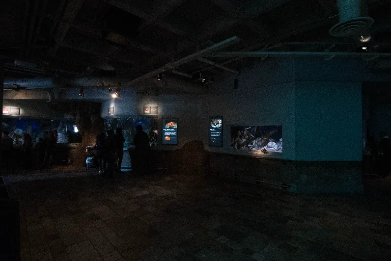 20180212-DSC_4951