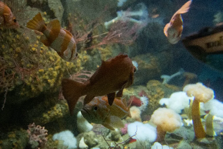 20180212-DSC_4964