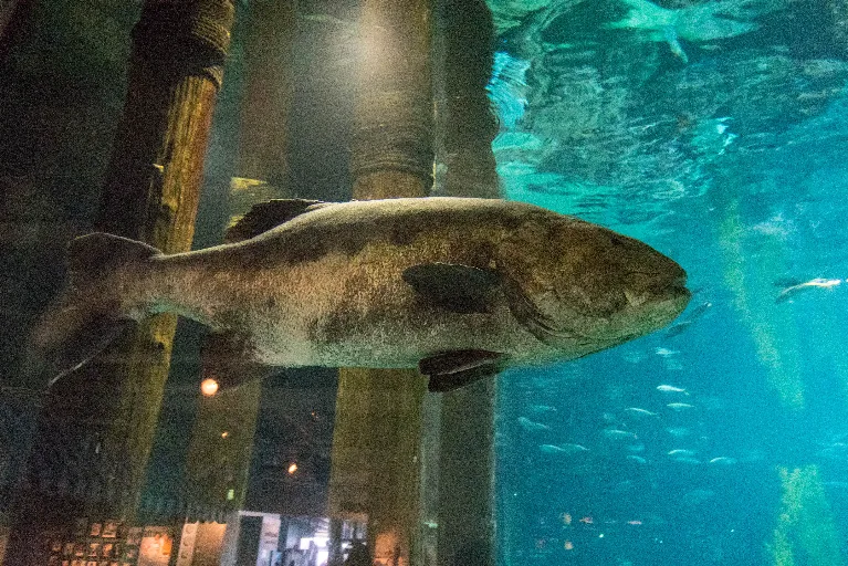 20180212-DSC_5009