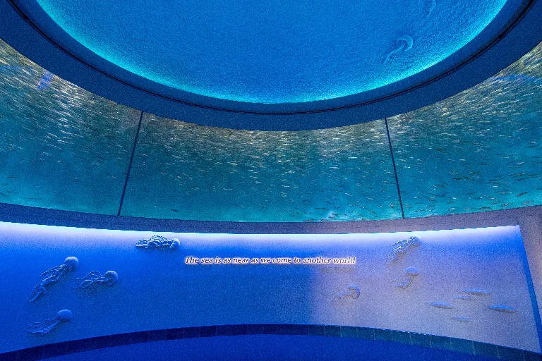 20180212-DSC_5110