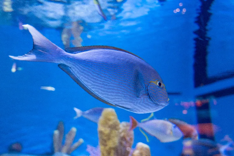 20180212-DSC_5210