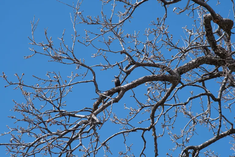 20180214-DSC_5253