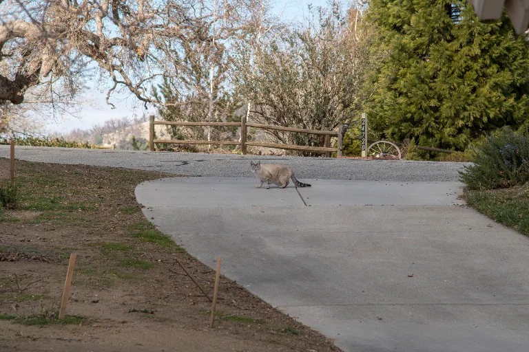 20180214-DSC_5254