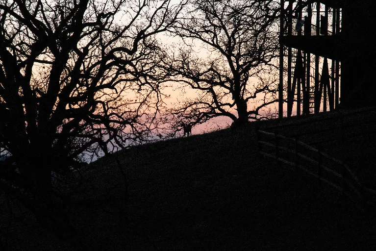 20180214-DSC_5351