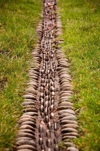 20110123-DSC_2625