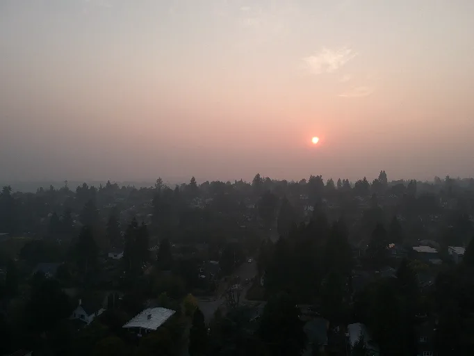 DCIM/100MEDIA/DJI_0226.JPG