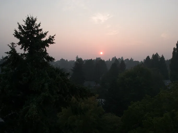 DCIM/100MEDIA/DJI_0235.JPG