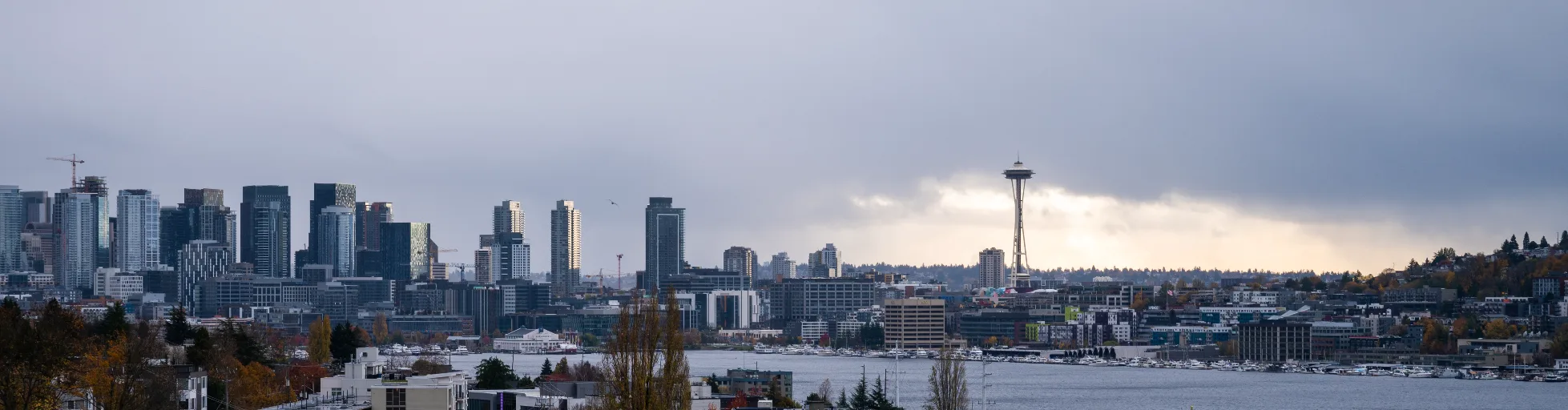20211106-DSC_6469