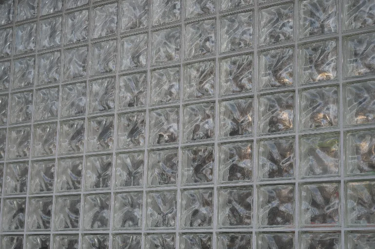 20211106-DSC_6539