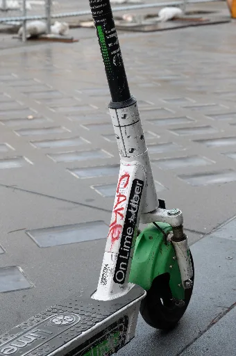 20211106-DSC_6544