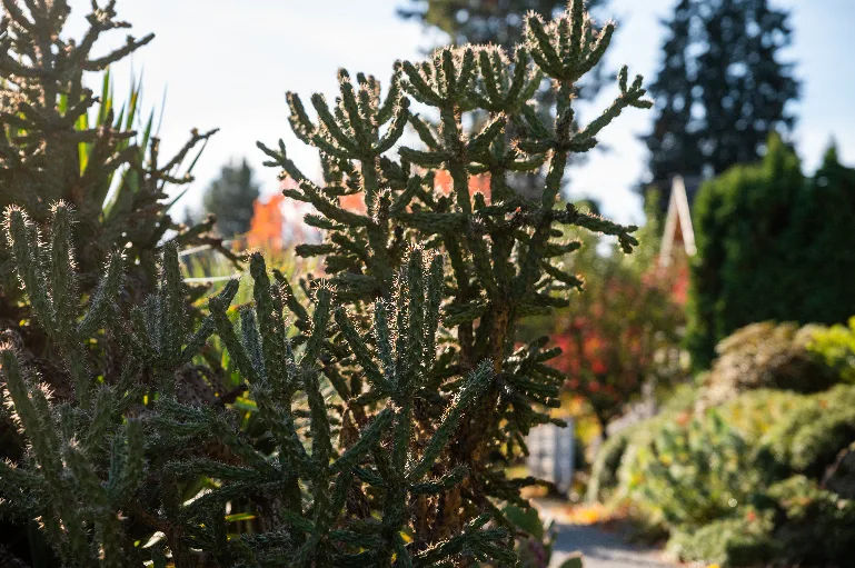 20211108-DSC_6657