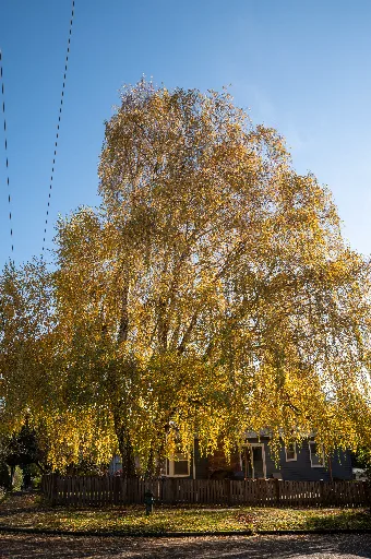 20211108-DSC_6668