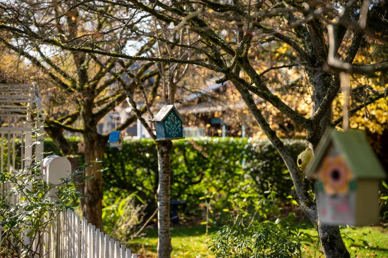 20211108-DSC_6671