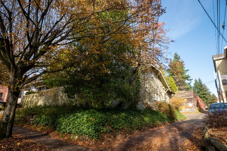 20211108-DSC_6712