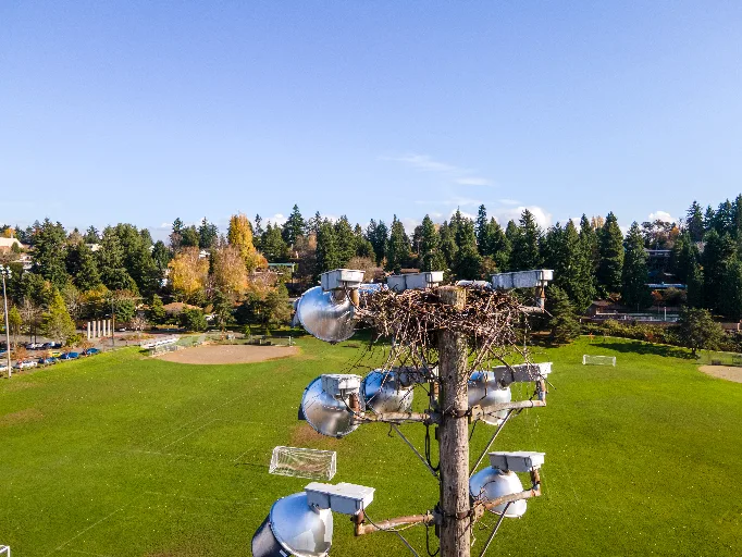 20211110-DJI_0291