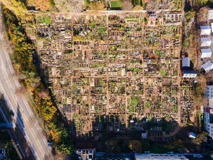 20211110-DJI_0300