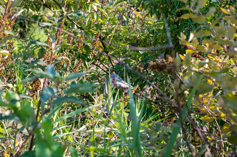 20230819-DSC_1521