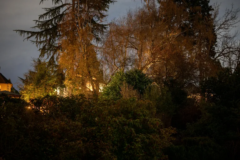 20240216-DSC_7452
