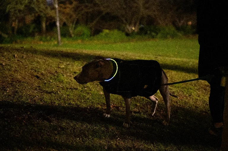 20241214-DSC_5522