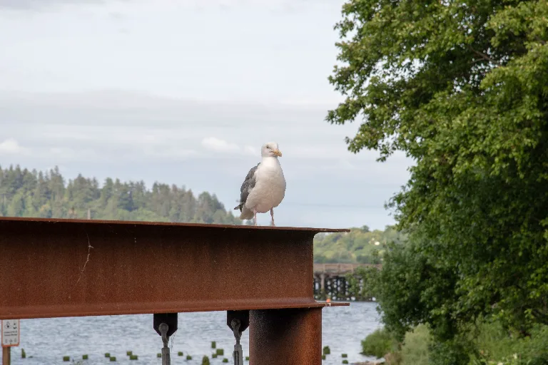 20180607-DSC_7348