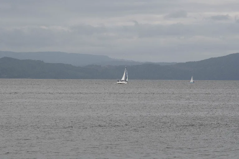 20180607-DSC_7382