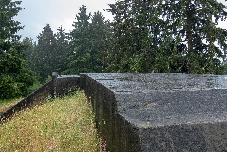 20180608-DSC_7468