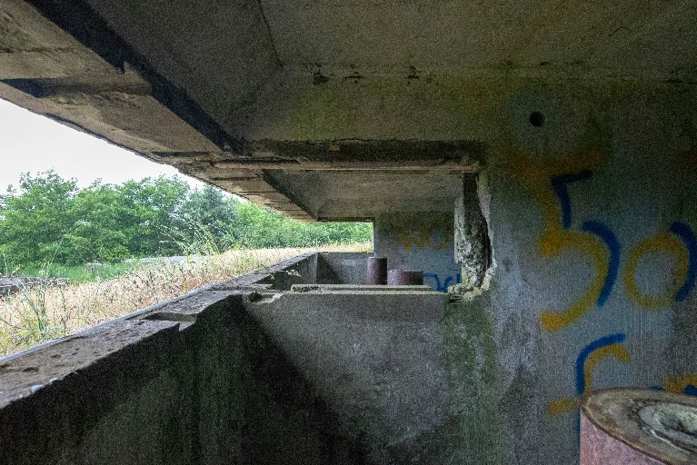 20180608-DSC_7473