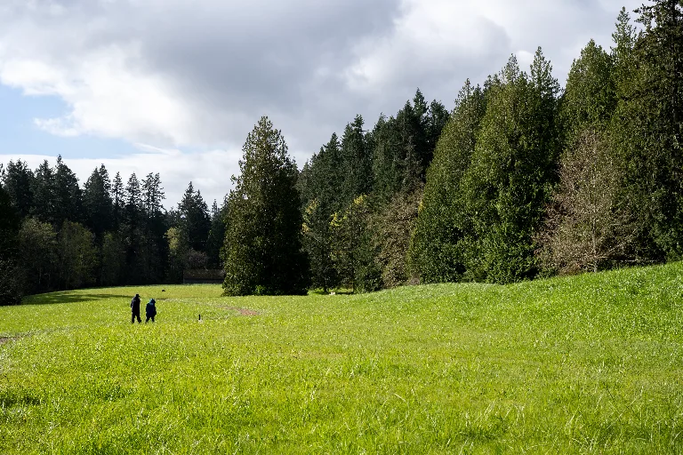 20260407-DSC_4471
