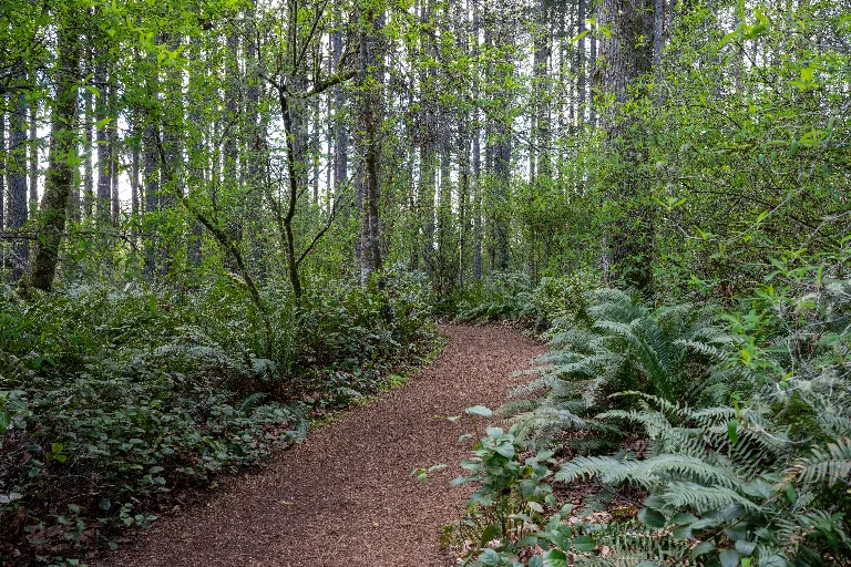 20260407-DSC_4488
