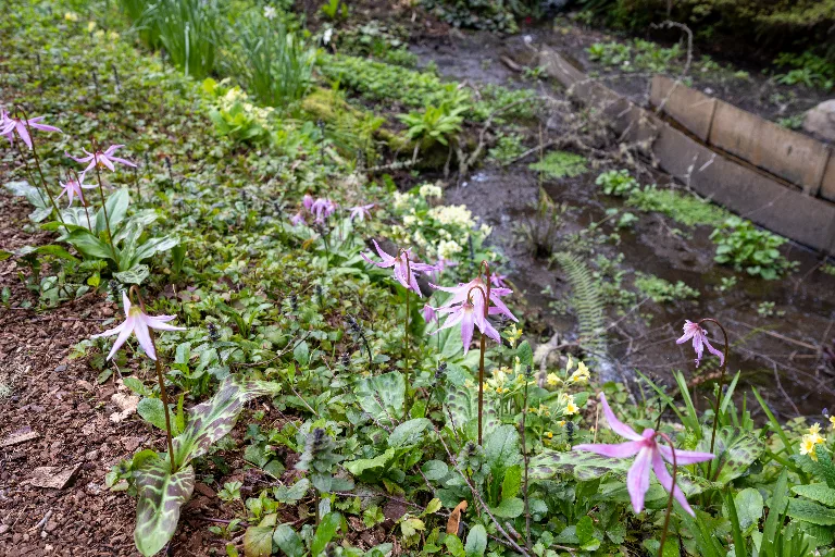 20260407-DSC_4553