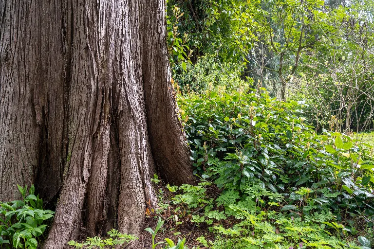 20260407-DSC_4563