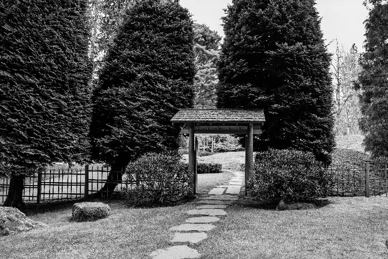 20260407-DSC_4568