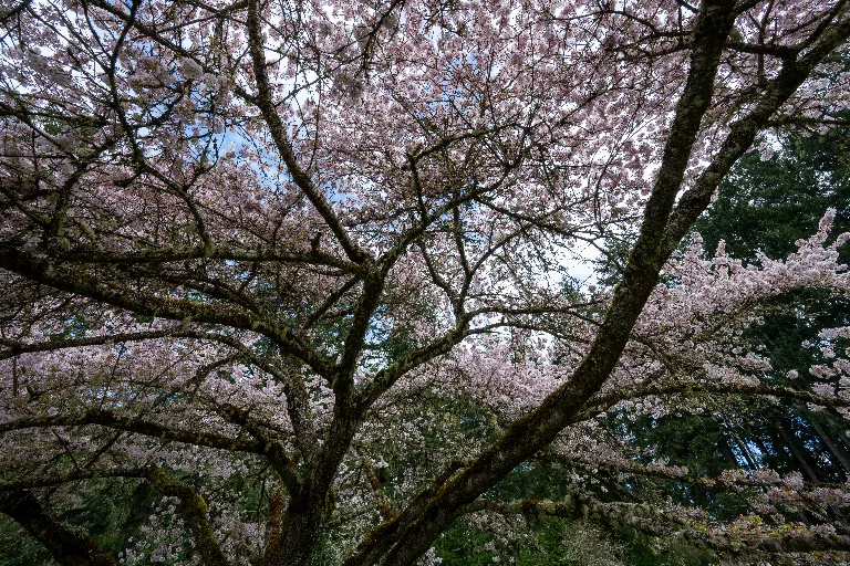 20260407-DSC_4573