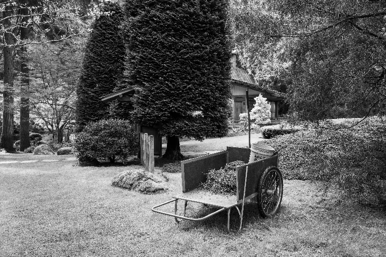 20260407-DSC_4574