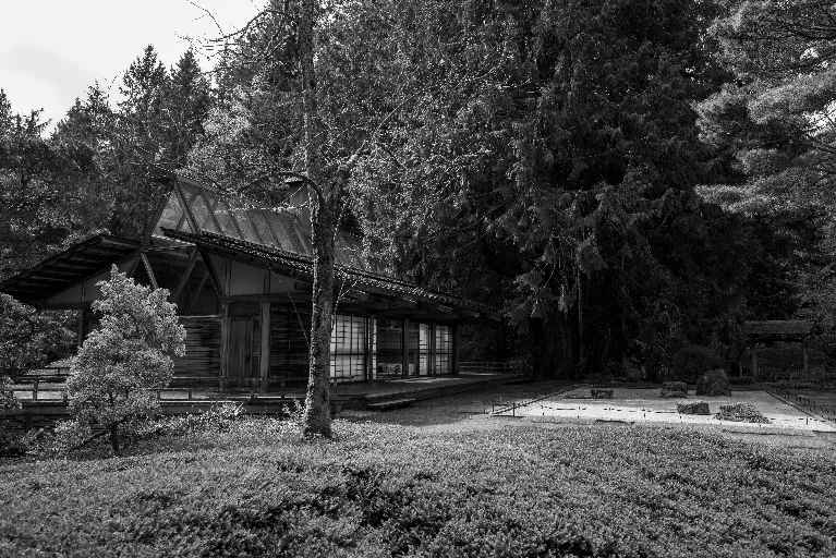 20260407-DSC_4576
