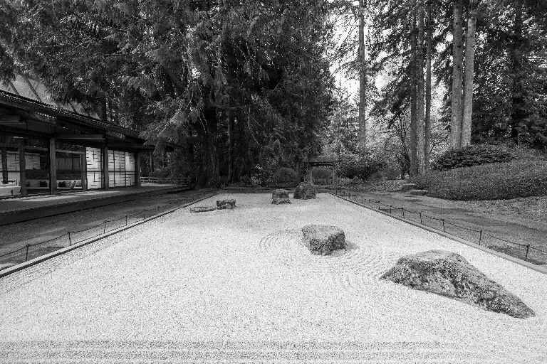 20260407-DSC_4577