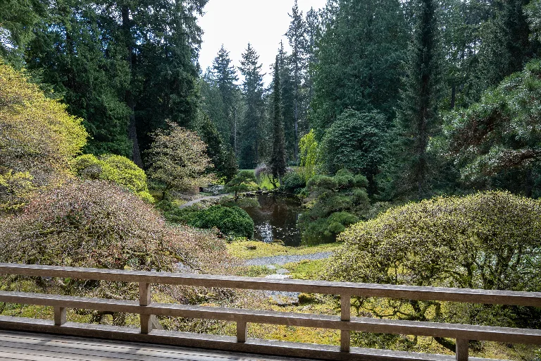 20260407-DSC_4584