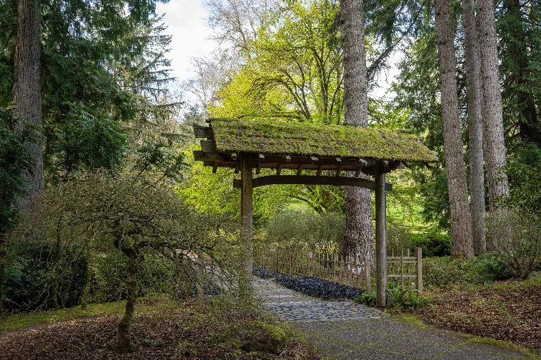 20260407-DSC_4586