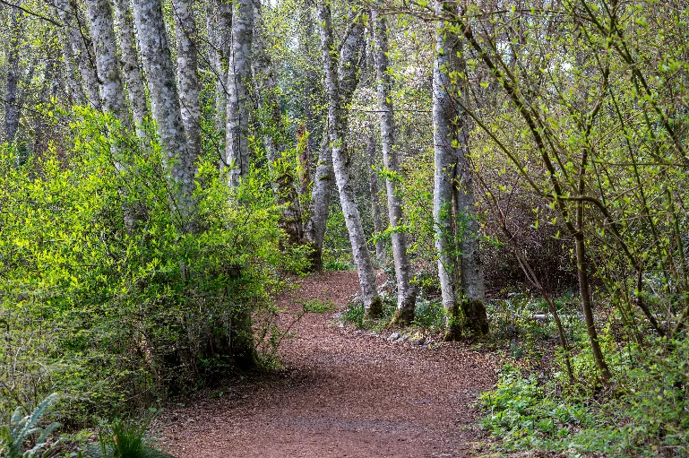 20260407-DSC_7643