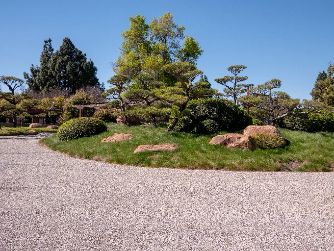 20190313-P1090562