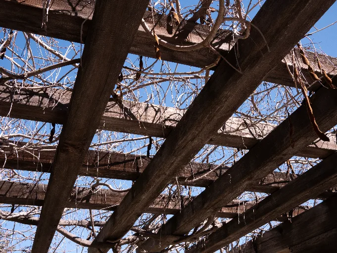 20190313-P1090567