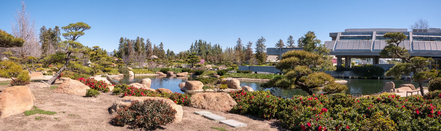 20190313-P1090573-Pano