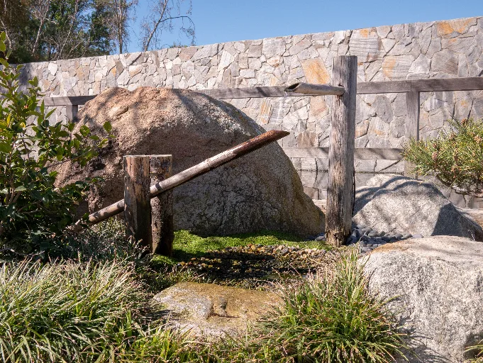 20190313-P1090583