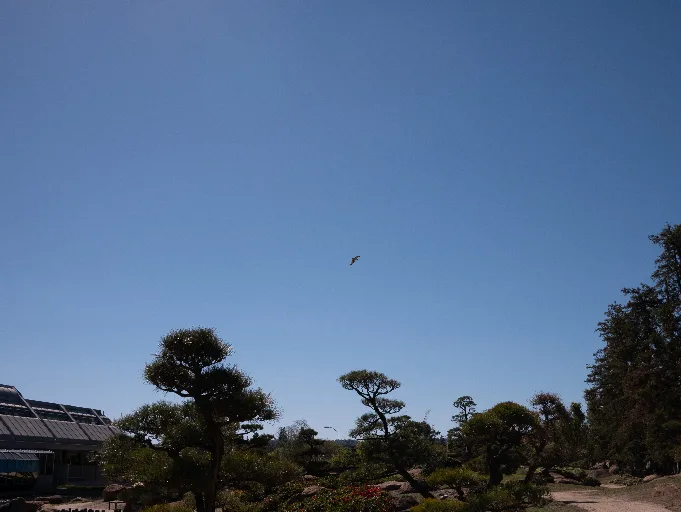 20190313-P1090593