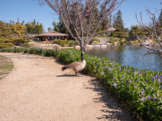 20190313-P1090599