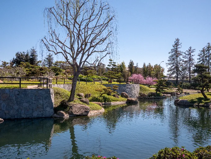20190313-P1090628