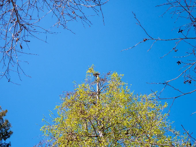 20190313-P1090639