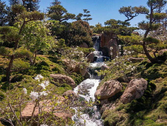 20190313-P1090731
